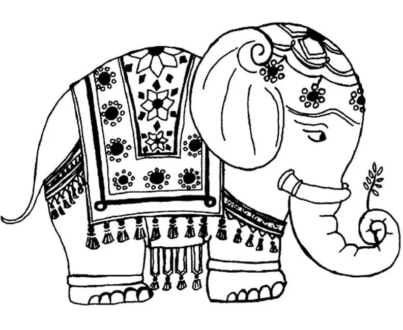 Indisk Elefant Tegninger til Farvelægning