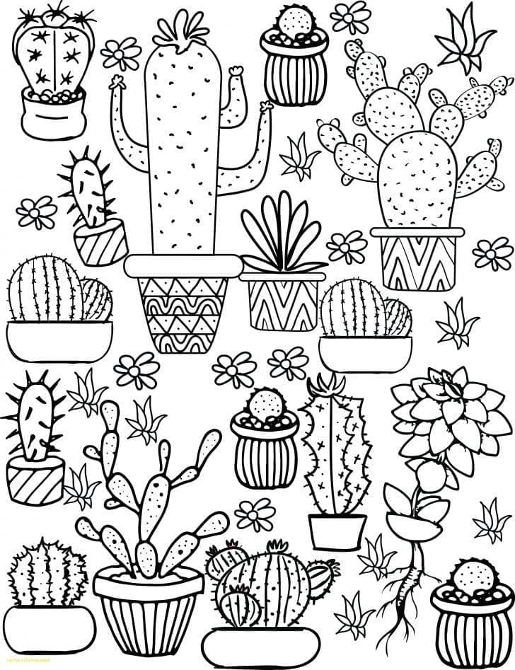 Kaktus Æstetik Tegninger Tegninger til Farvelægning