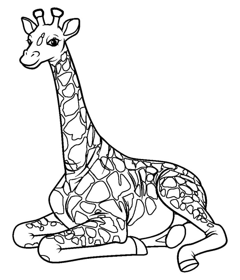 Giraf Tegninger til Farvelægning