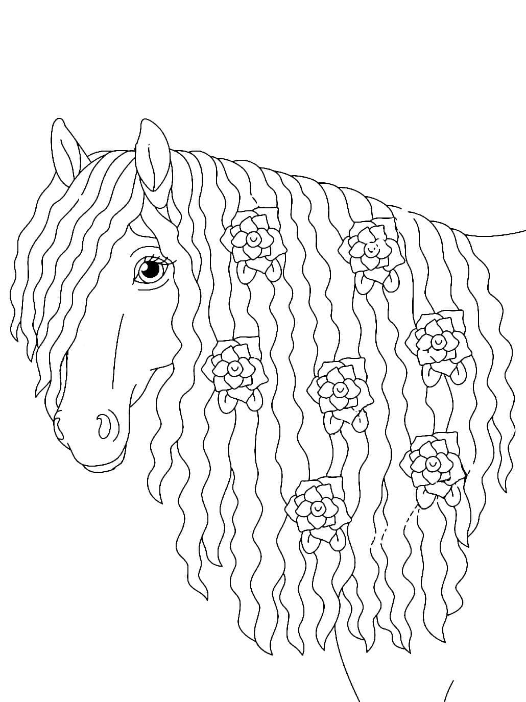 Normal Hest Tegninger til Farvelægning