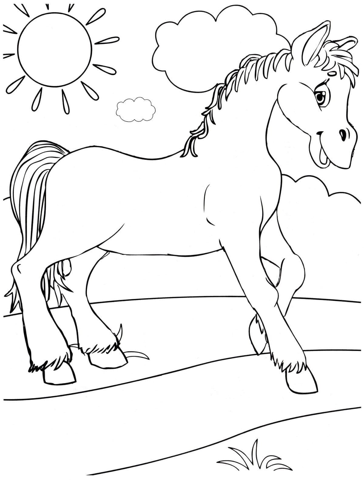 Smilende Hest Tegninger til Farvelægning