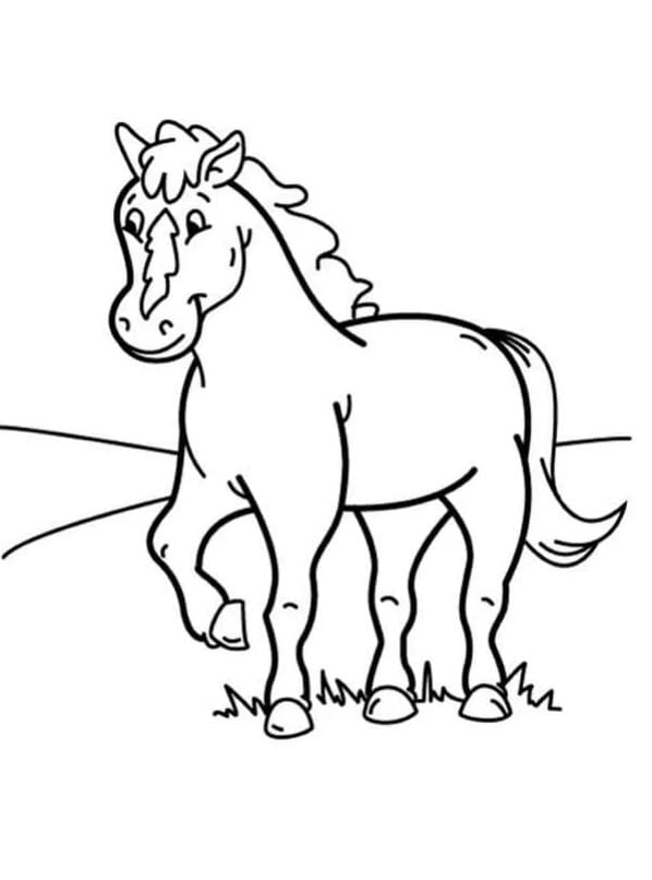 Smilende Hest Tegninger til Farvelægning