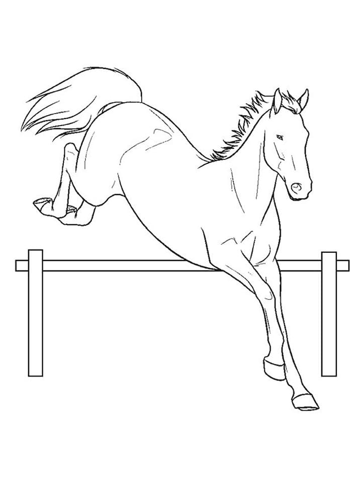 Springende Hest Tegninger til Farvelægning