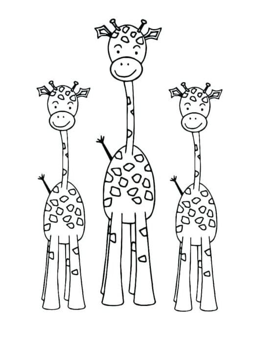 Tre Giraffer Tegninger til Farvelægning