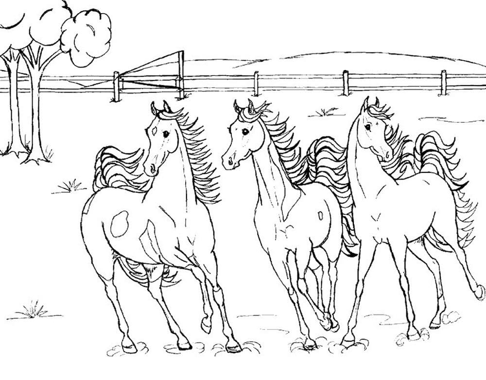 Tre Heste Tegninger til Farvelægning