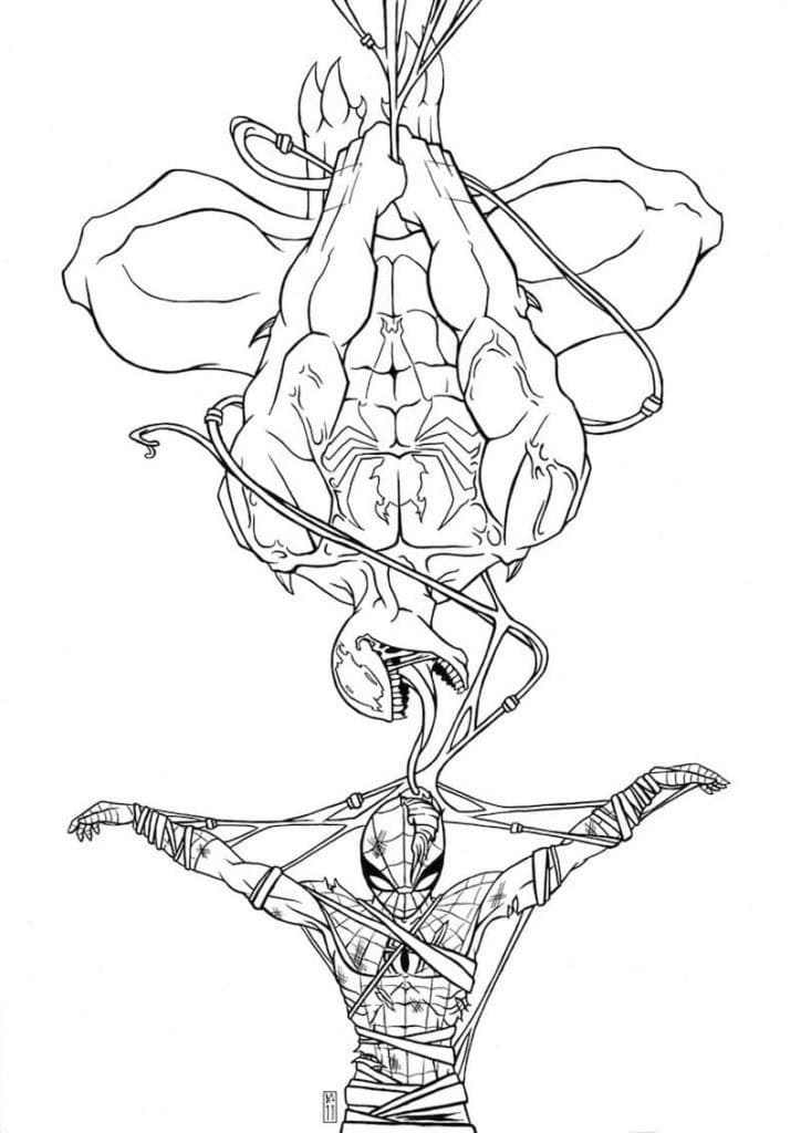 Venom og Spider Man Tegninger til Farvelægning