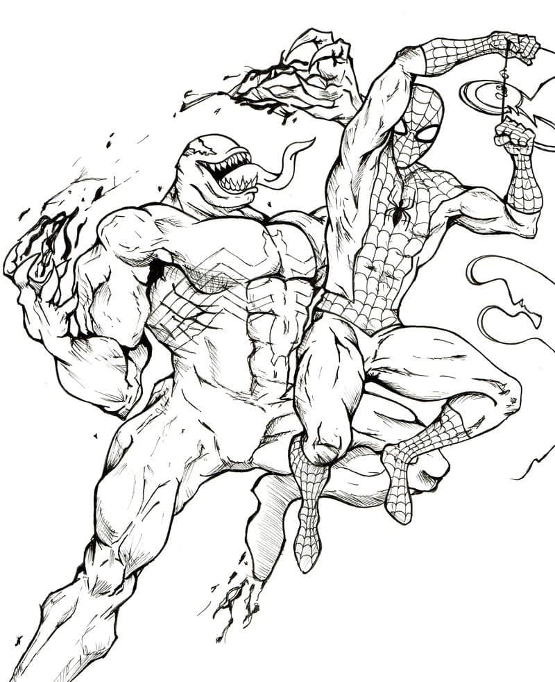 Venom vs Spider Man Tegninger til Farvelægning