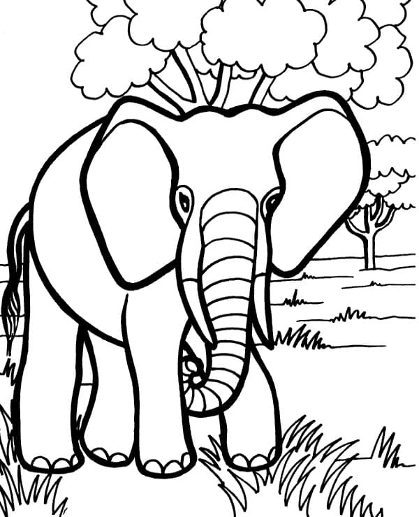 Vild Elefant Tegninger til Farvelægning