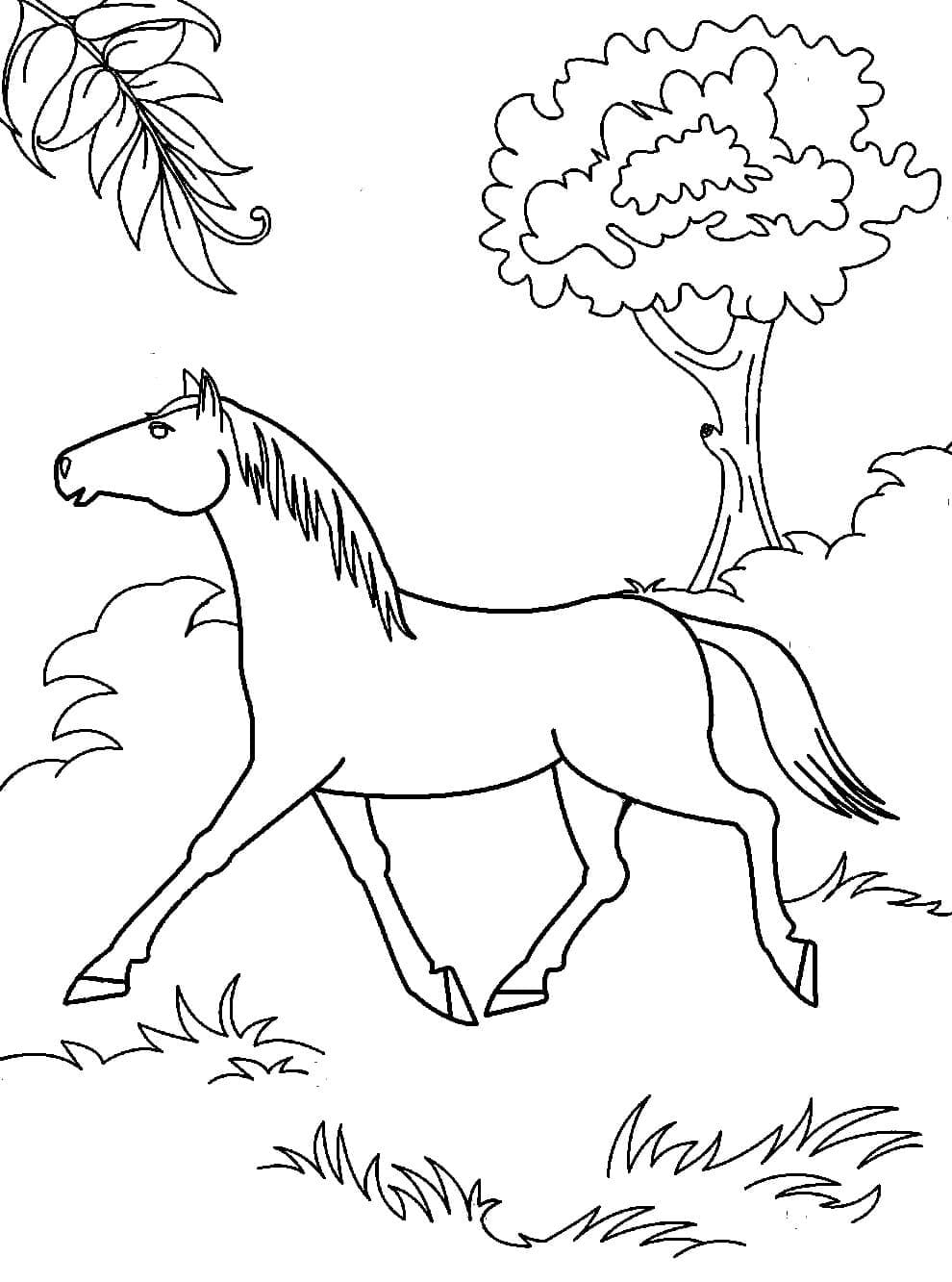 Vild Hest Tegninger til Farvelægning