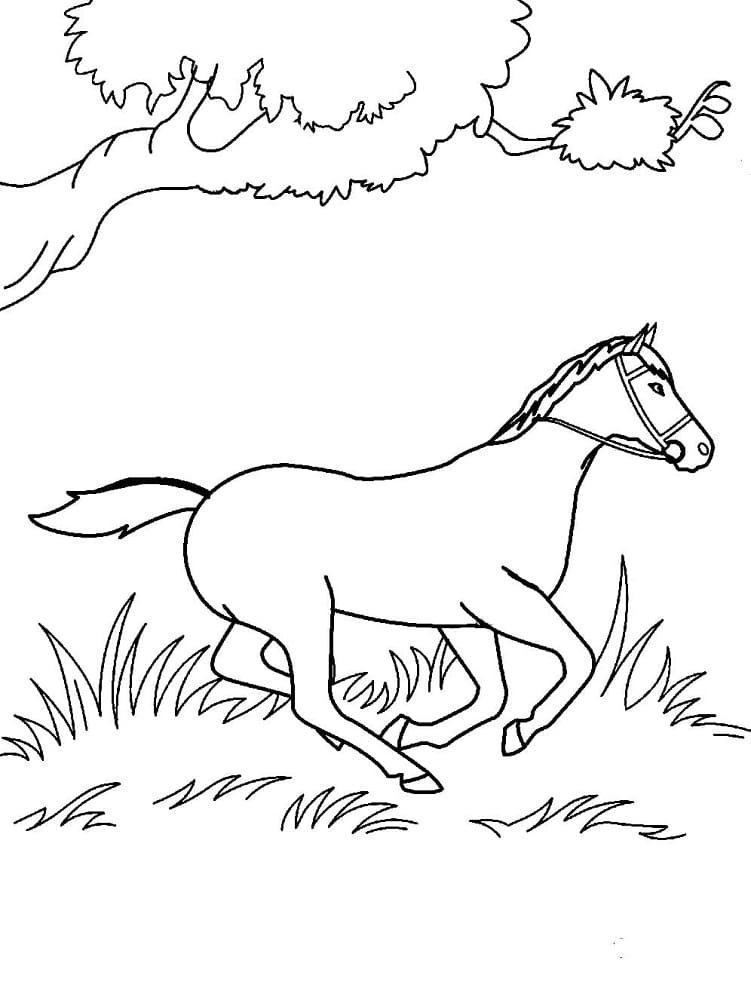 Vild Hest Løber Tegninger til Farvelægning