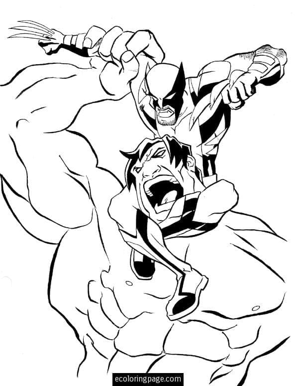 Wolverine vs Hulk Tegninger til Farvelægning