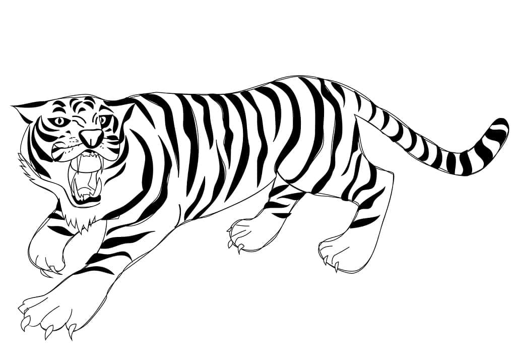 Brølende Tiger Tegninger til Farvelægning