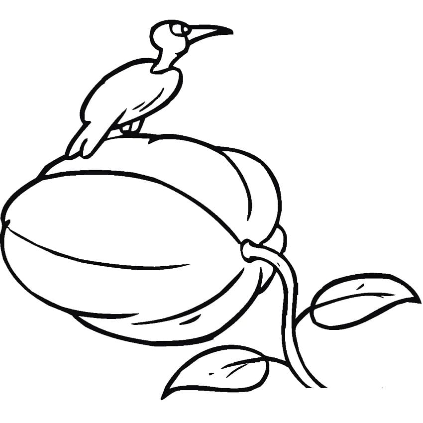 Fugl på et græskar Tegninger til Farvelægning