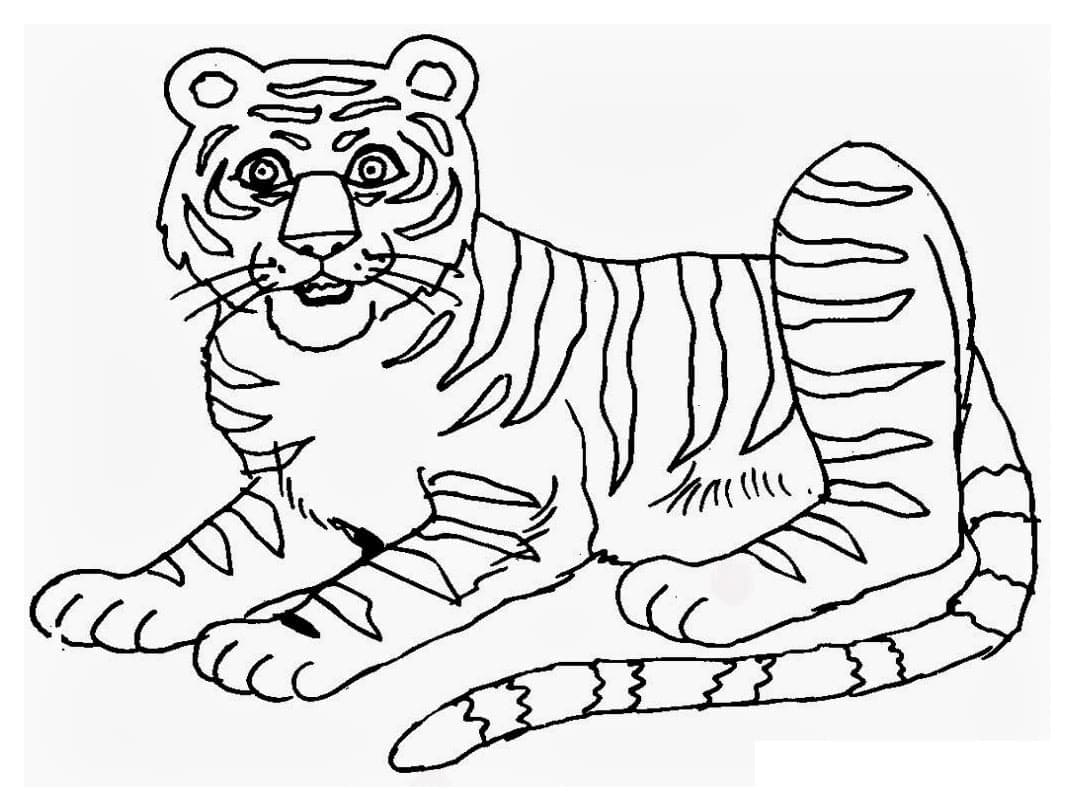 Gratis Billeder Af Tiger Tegninger til Farvelægning