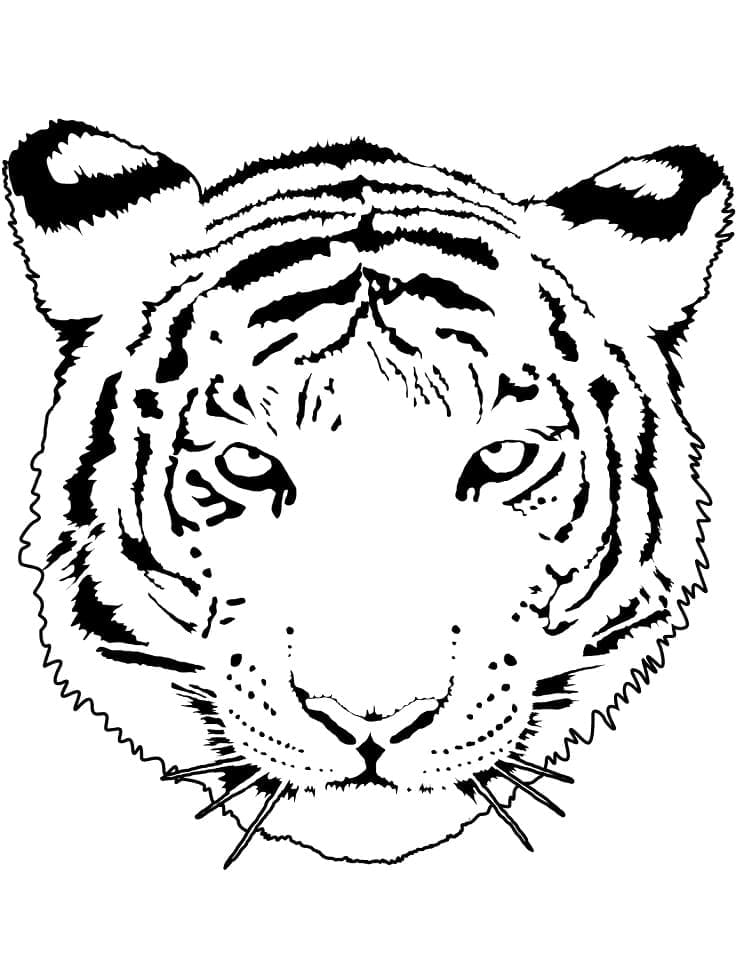 Grundlæggende Tigeransigt Tegninger til Farvelægning