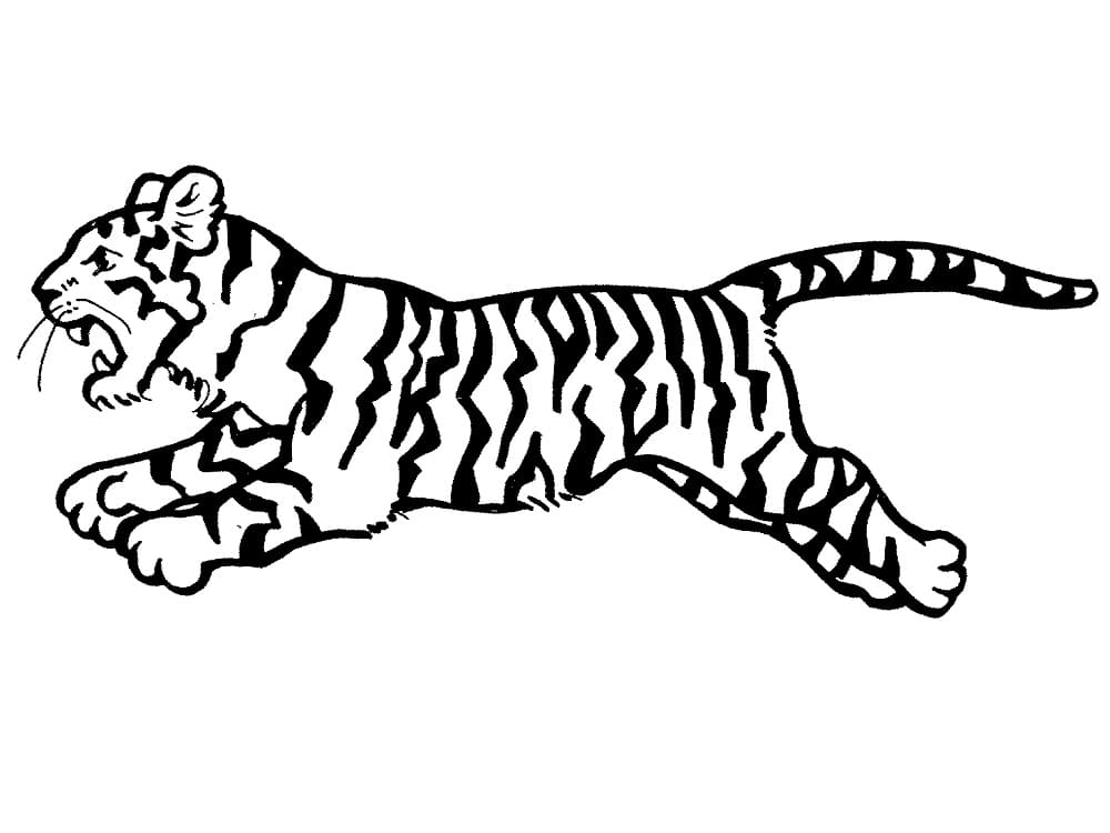 Løbende Tiger Tegninger til Farvelægning