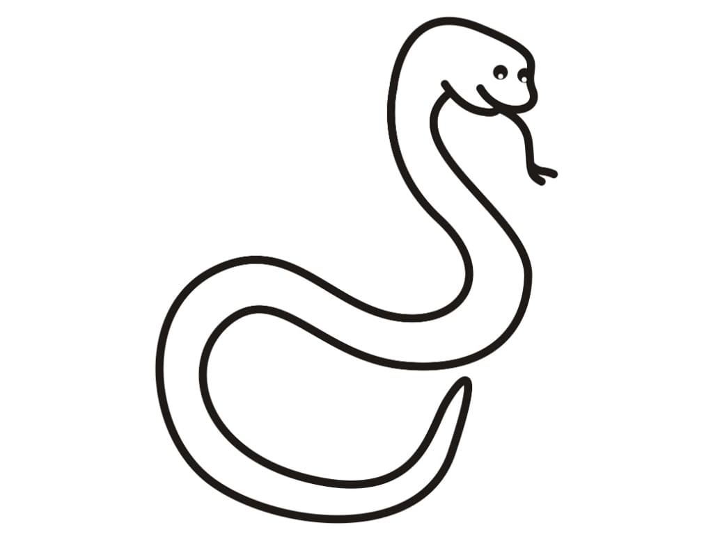 Meget Normal Slange Tegninger til Farvelægning