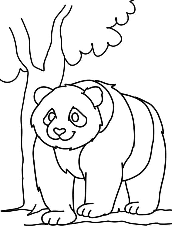 Panda Nær Træet Tegninger til Farvelægning