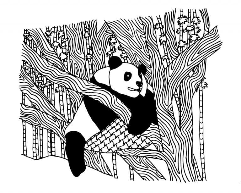 Panda På Træet Tegninger til Farvelægning
