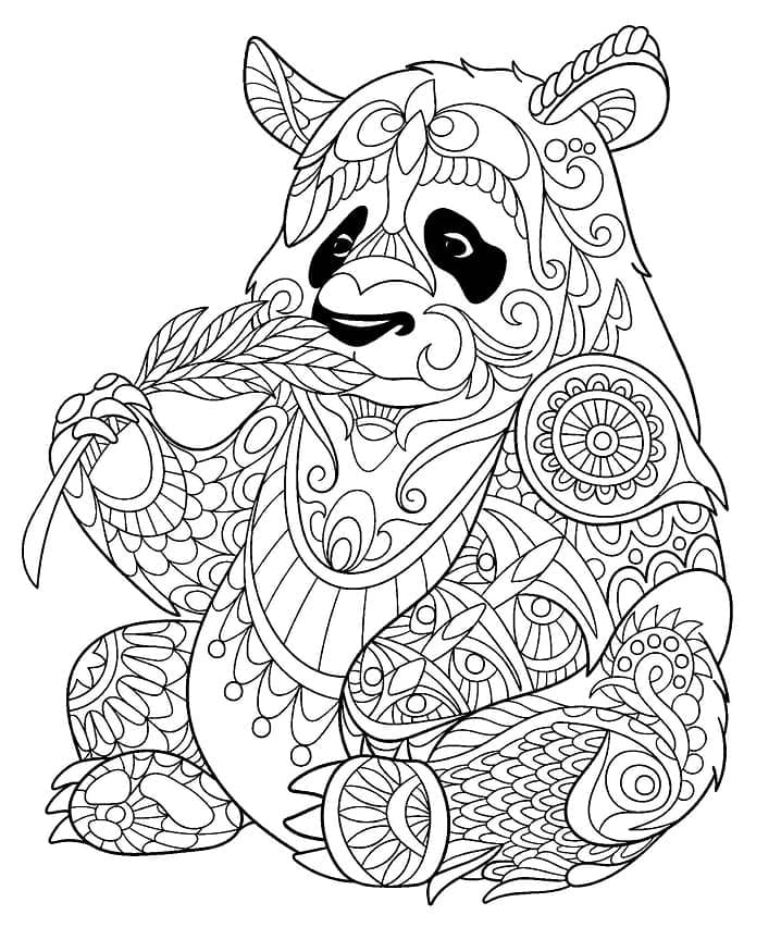 Panda Til Voksne Tegninger til Farvelægning