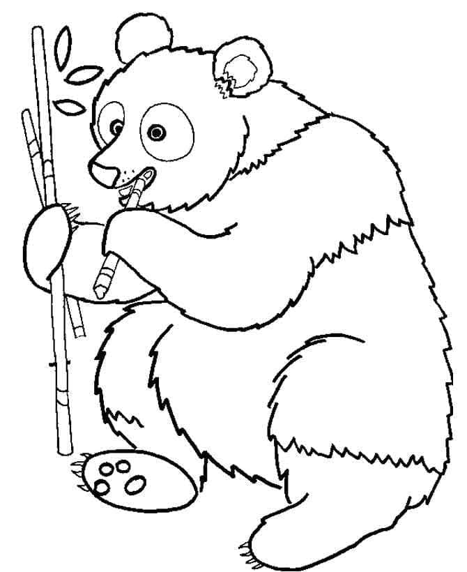 Simpel Panda Tegninger til Farvelægning