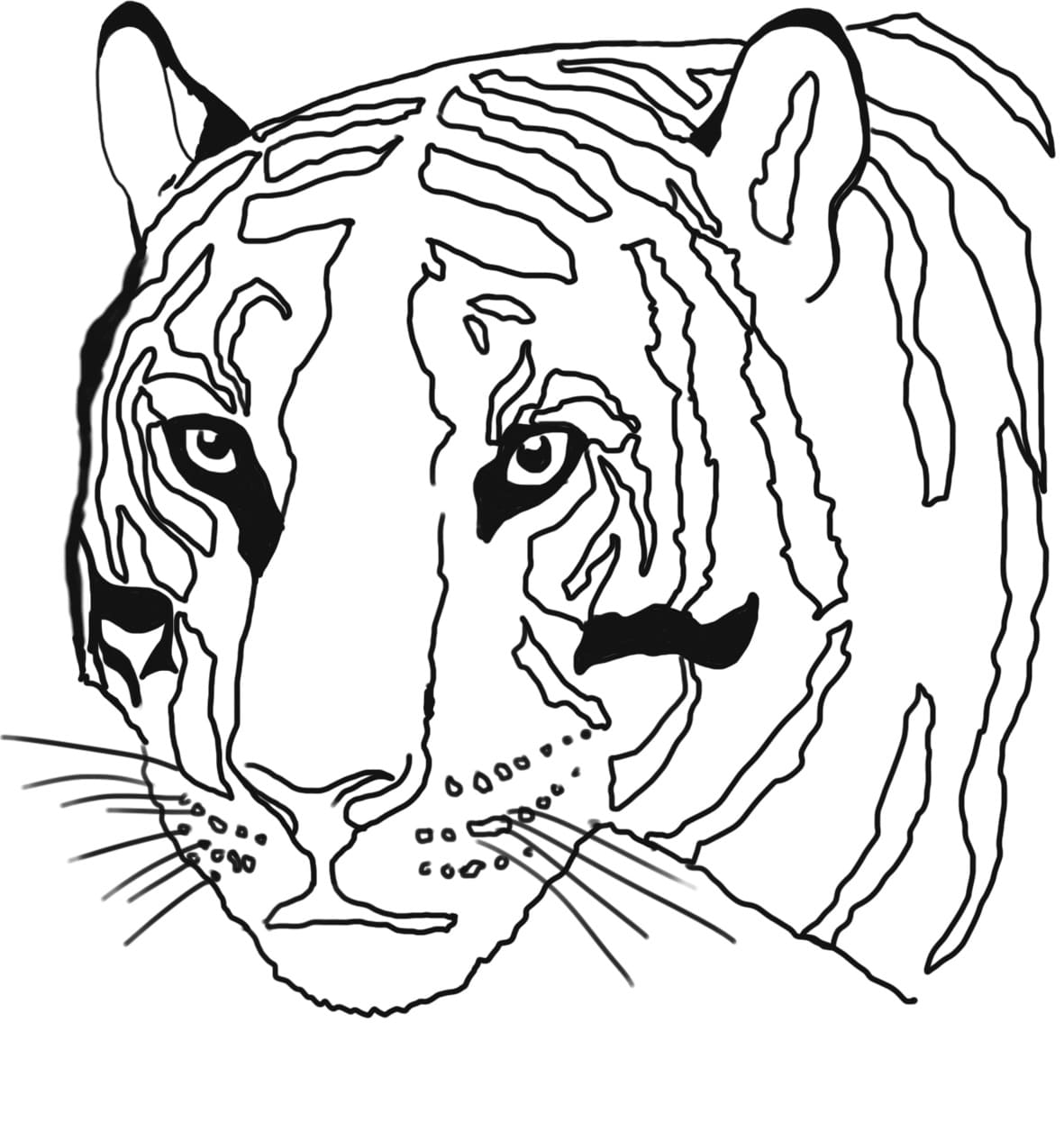 Simpelt Tigerhoved Tegninger til Farvelægning