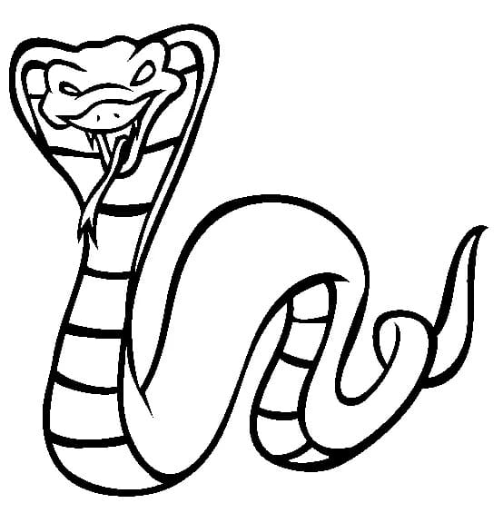 Sjov Konge Cobra Tegninger til Farvelægning