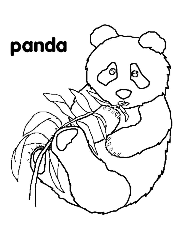 Sjov Panda Tegninger til Farvelægning