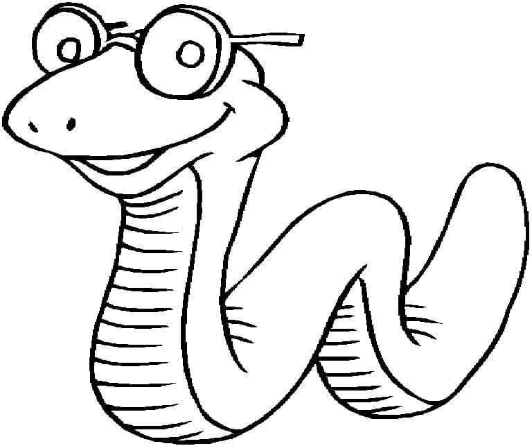 Slange Iført Briller Tegninger til Farvelægning