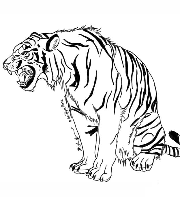 Snurrende Tiger Tegninger til Farvelægning