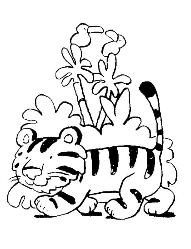 Sød Baby Tiger Med Træ Tegninger til Farvelægning
