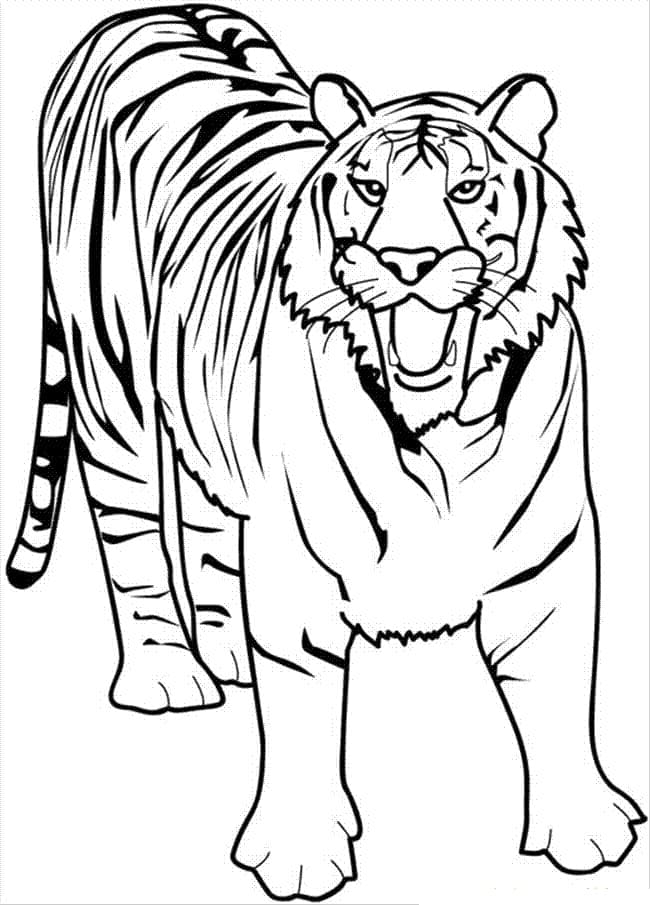 Tiger 1 Tegninger til Farvelægning