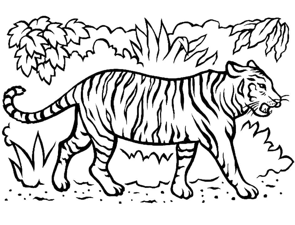 Tiger Går i Skoven Tegninger til Farvelægning