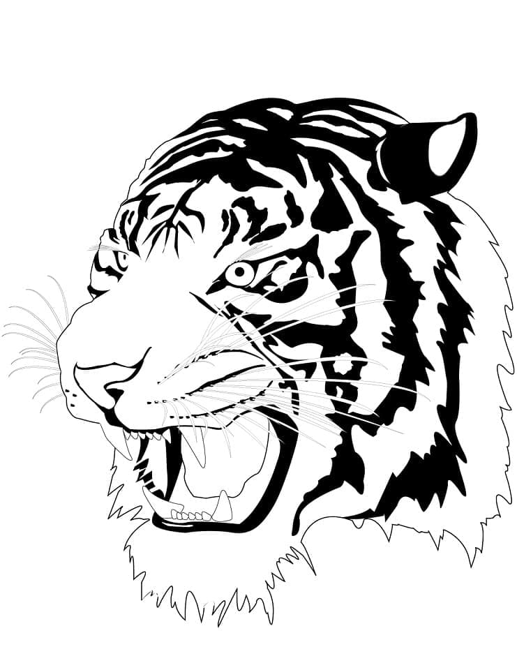 Tigerhoved Tegninger til Farvelægning