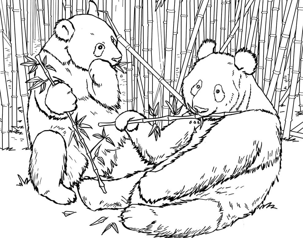 To Kæmpe Pandaer Tegninger til Farvelægning