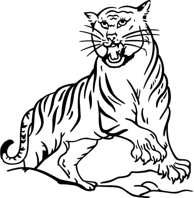 Vred Tiger Tegninger til Farvelægning