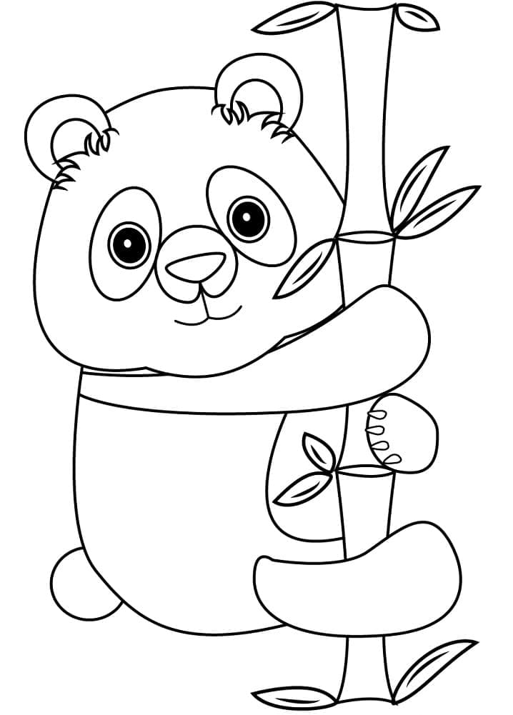 Yndig Panda Tegninger til Farvelægning