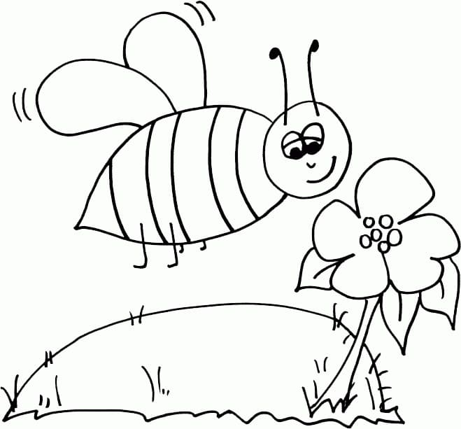 Honningbi og Blomst Tegninger til Farvelægning