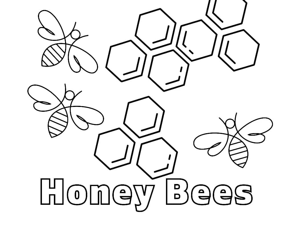 Honningbier Tegninger til Farvelægning