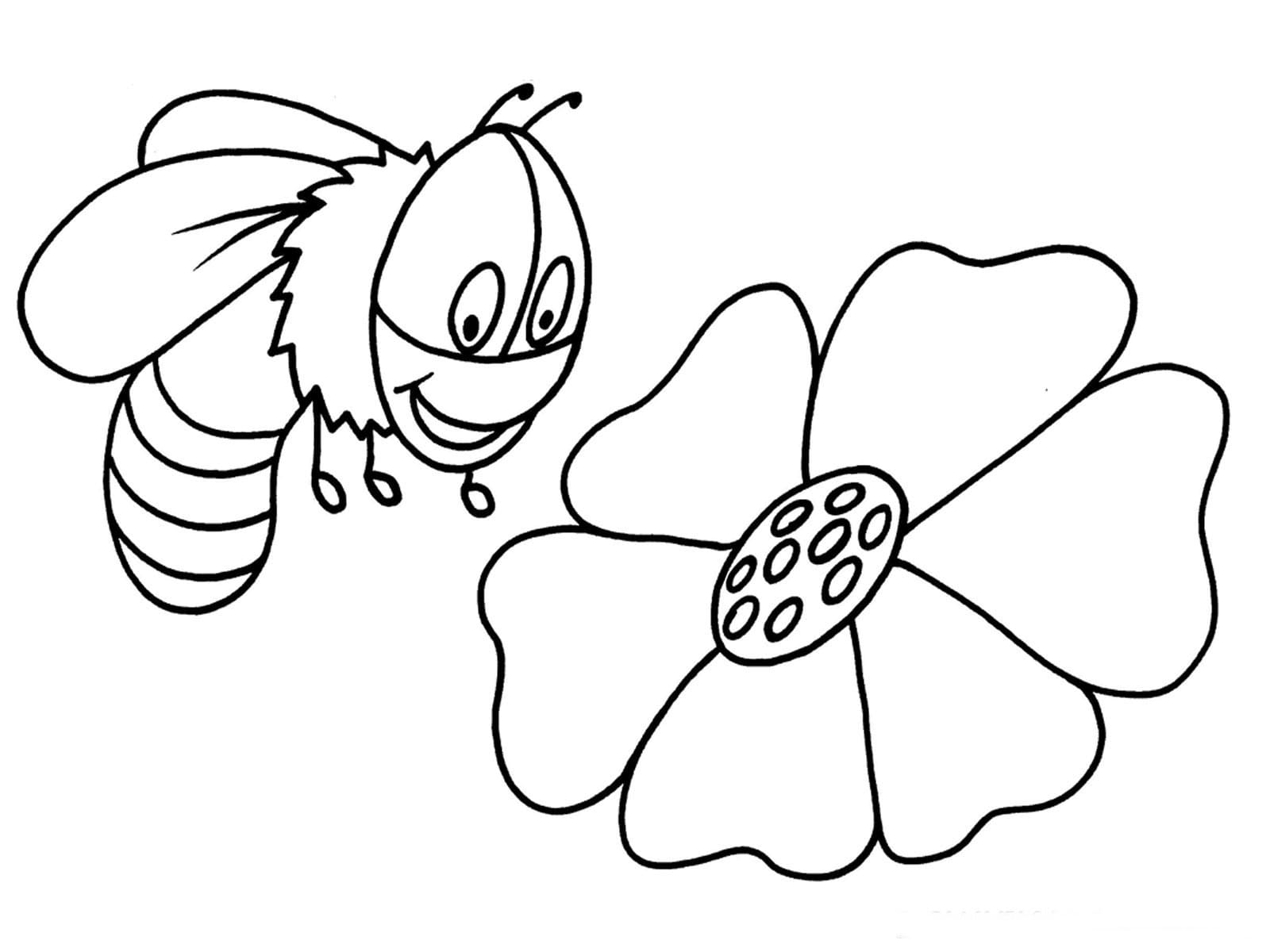 Sjove Bi Og Blomst Tegninger til Farvelægning
