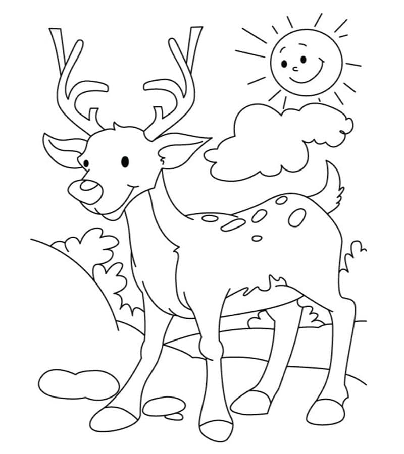 Glad Hjort Med Sol Tegninger til Farvelægning