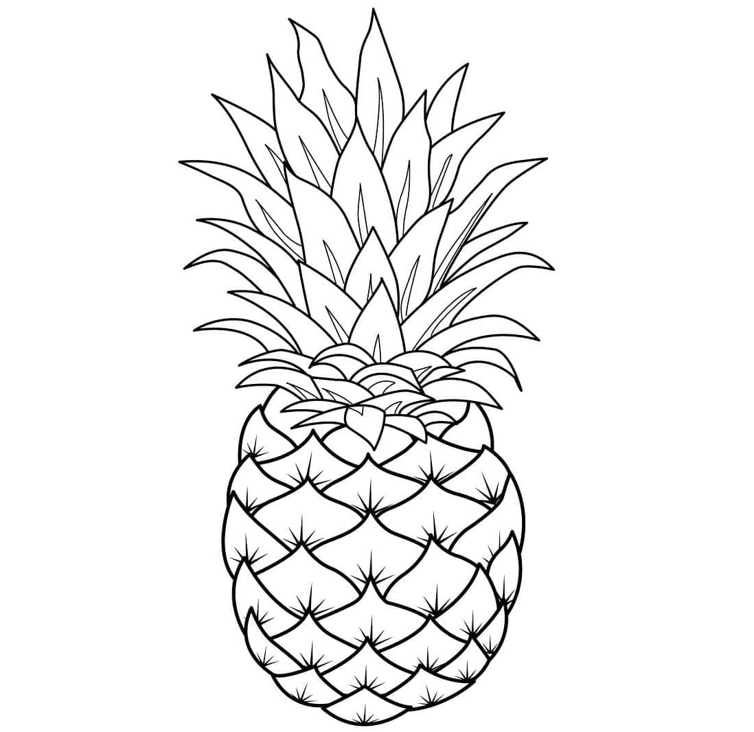 Ananas Tegninger Til Farvel gning Farvelegning Com