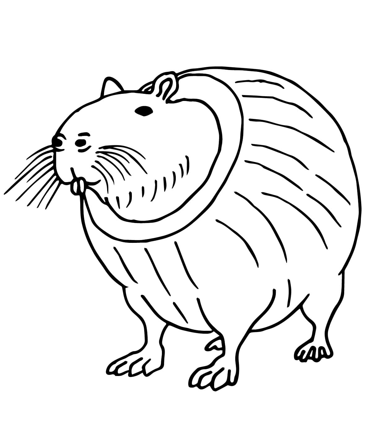 Brainrot Burbaloni Lulilolli Tegninger til Farvelægning