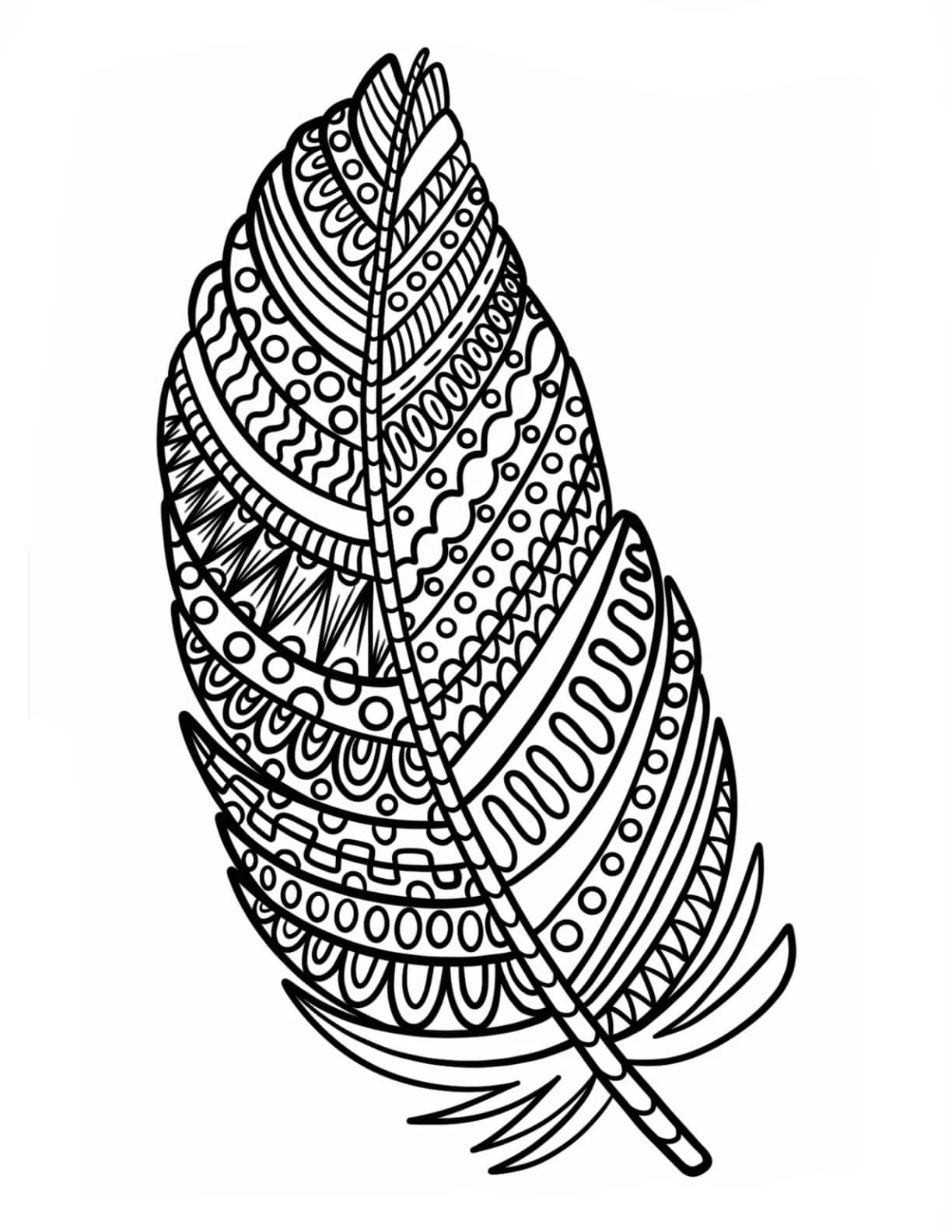 Fjer Zentangle Tegninger til Farvelægning