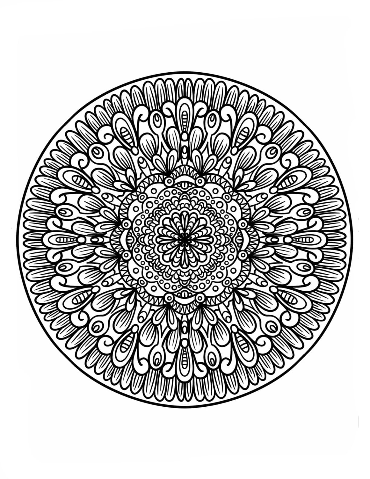 Majestætisk blomstret Zentangle Tegninger til Farvelægning