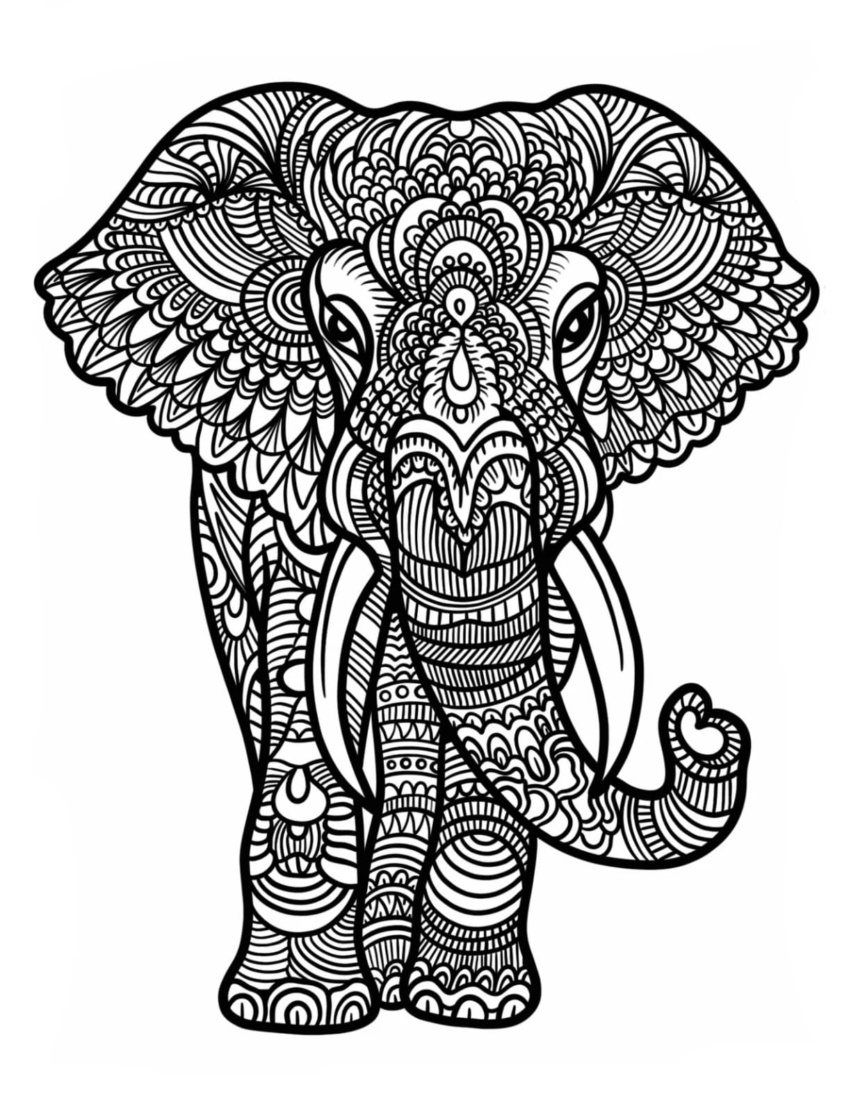 Massiv elefant Zentangle Tegninger til Farvelægning