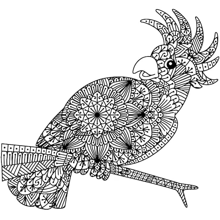 Papegøje Zentangle Tegninger til Farvelægning