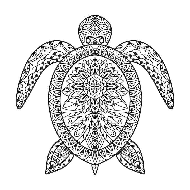 Skildpadde Zentangle Tegninger til Farvelægning