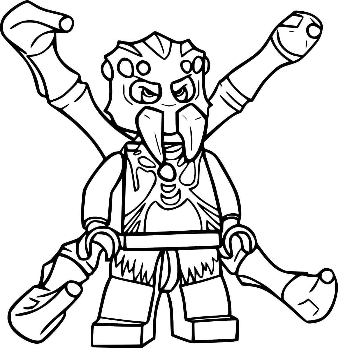 Sparacon Edderkop Tegninger til Farvelægning