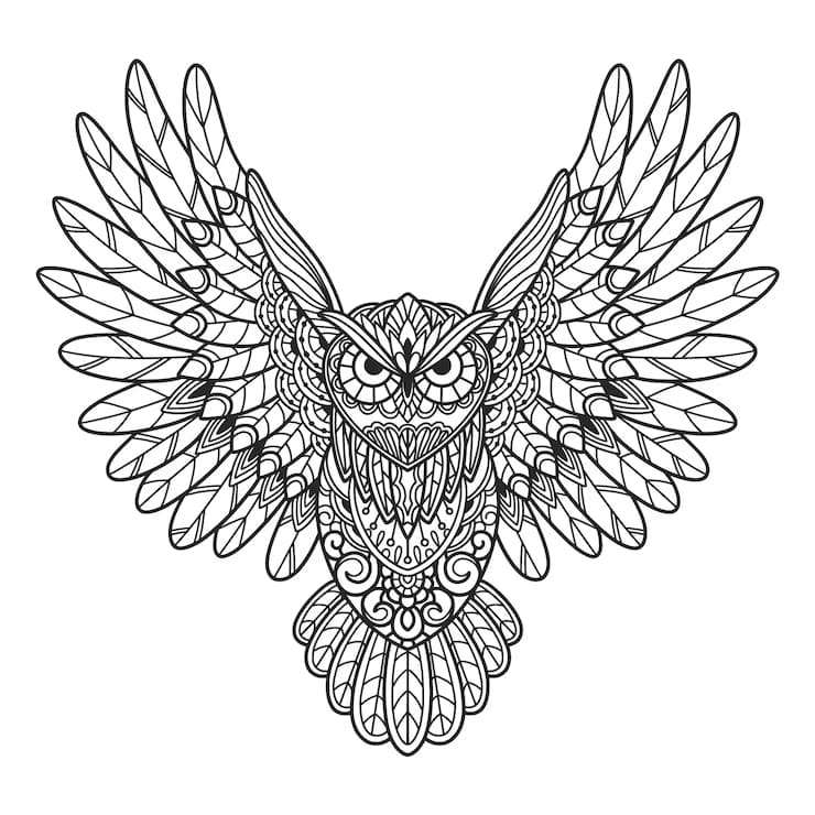 Ugle Zentangle Tegninger til Farvelægning